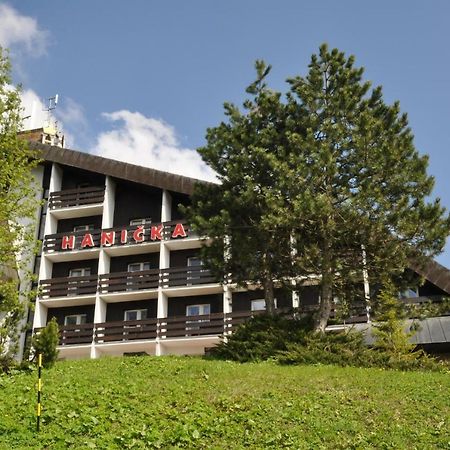 Horsky Hotel Hanicka Špindlerŭv Mlýn Extérieur photo